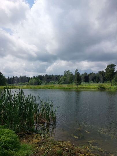 Участок 30 сот. (ИЖС)