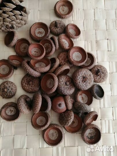 Природные материалы для творчества