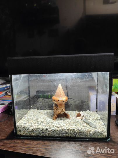 Аквариум 10 литров