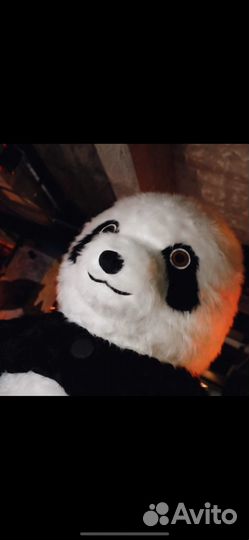 Поздравление BIG панда