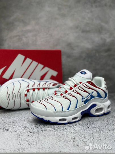 Кроссовки мужские Nike Air max TN plus