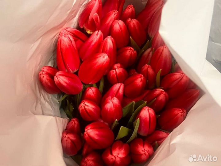 Тюльпаны к 8 марта розовые