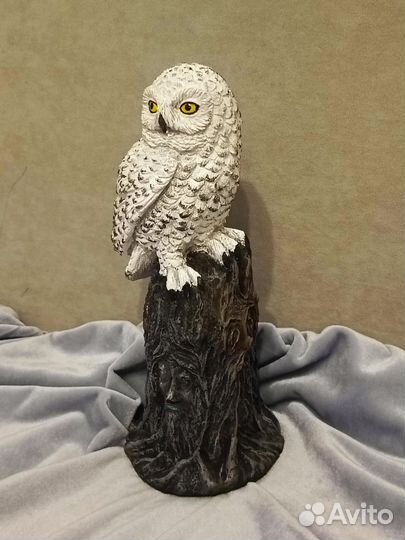 Сова Букля Гарри Поттера