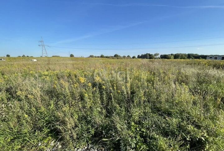 Участок 4,9 сот. (ИЖС)