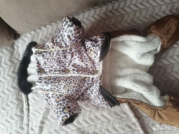 Комбинезон для собаки