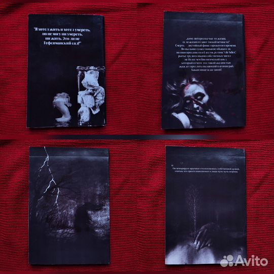 Книги Габриэль Витткоп