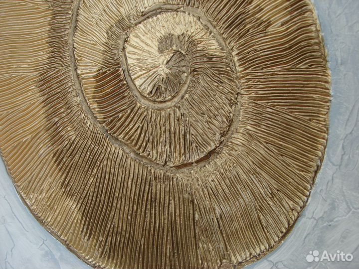 Интерьерная картина Ракушка