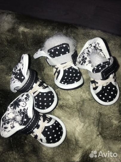 Новые Кеды для собаки