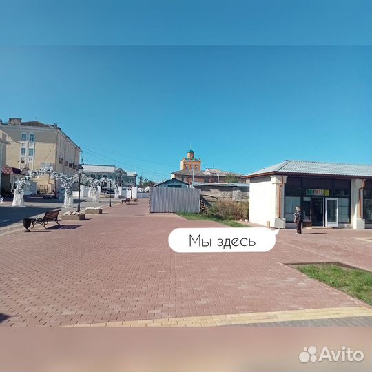 Super Mario 3D World + Bowsers Fury switch