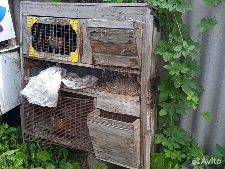 Крольчатники