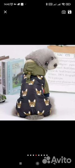 Комбинезон для маленькой собачки зима