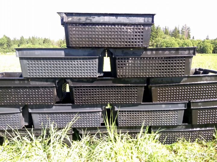 Калифорнийский червь в вермикомпостер