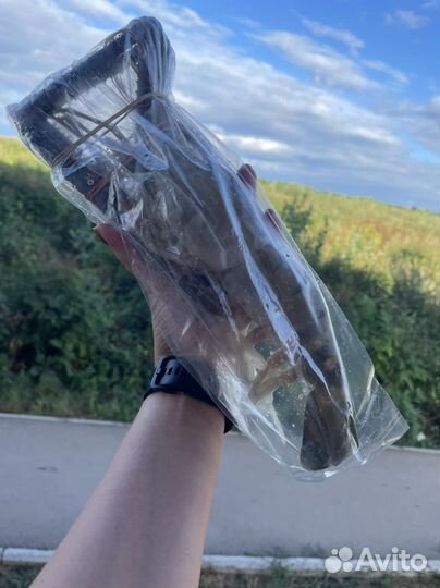 Креветка Скампи