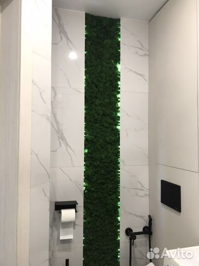 Стабилизированный мох