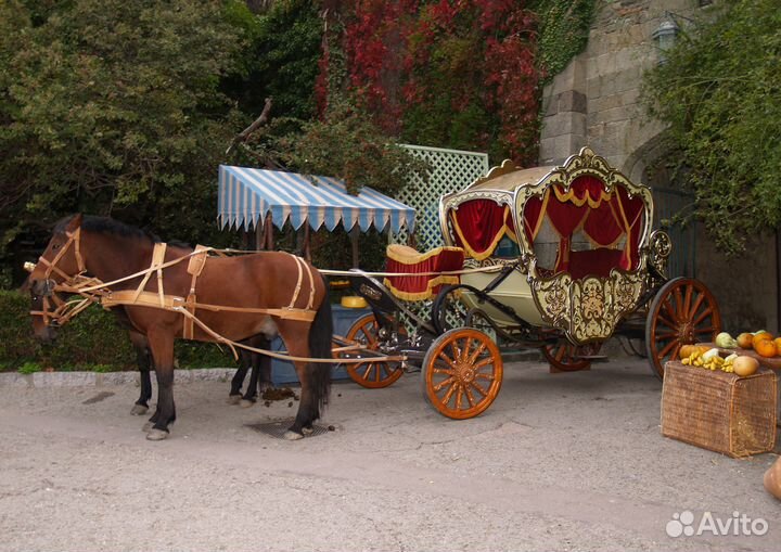 Карета для лошади