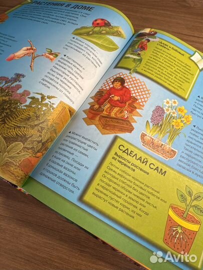 Детская энциклопедия