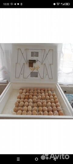 Инкубатор для яиц автоматический
