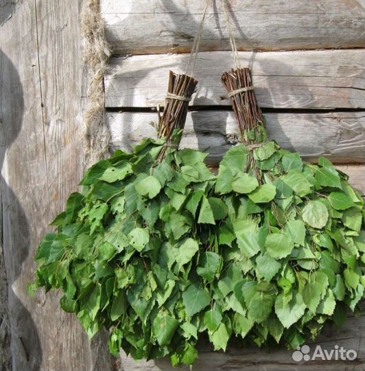 Веник березовый