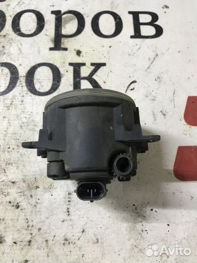 Фара противотуманная Nissan Pathfinder