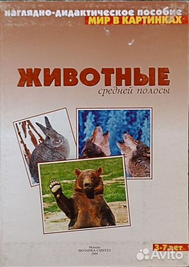 Наглядно-дидактическое пособие 