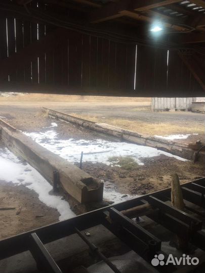 Пилларама продам