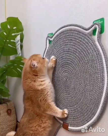 Лежак - когтеточка для котов и кошек