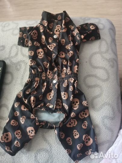 Дождевик и обувь для собаки