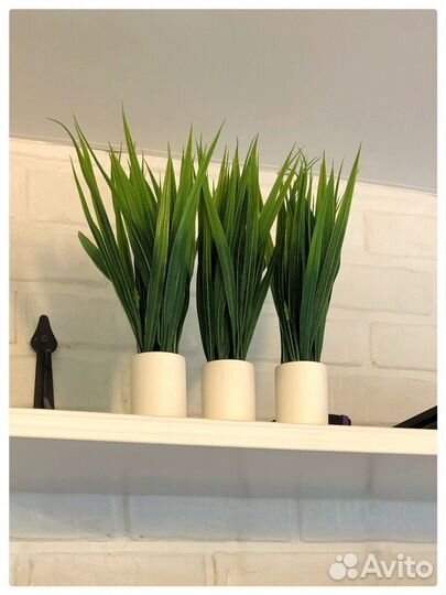 Искусственные растения в кашпо