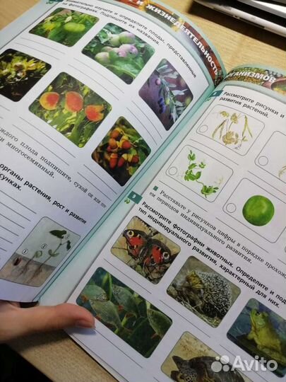 Тетрадь-тренажёр по биологии 5-6 класс