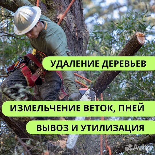 Спил деревьев обрезка веток