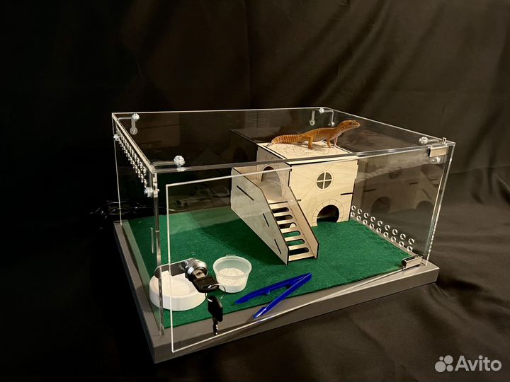 Террариум с замком для эублефара