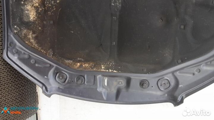 Капот Audi A8 D3/4E 2005