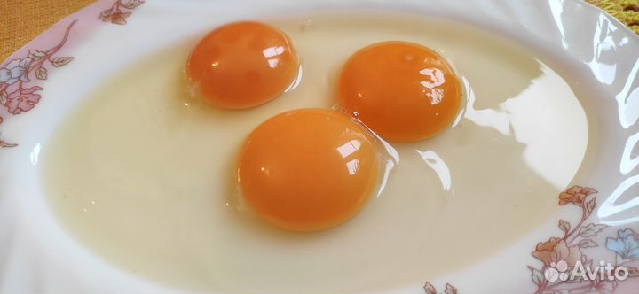 Домашние куриные яйца