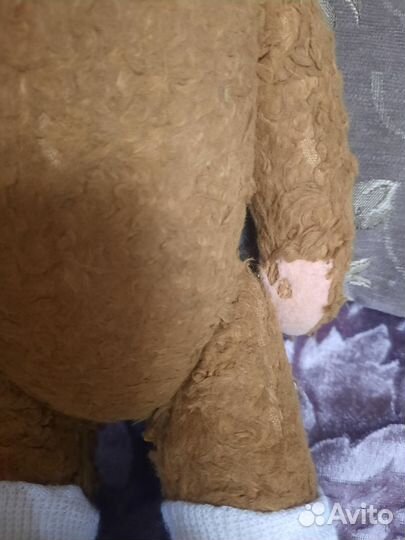 Плюшевый медведь