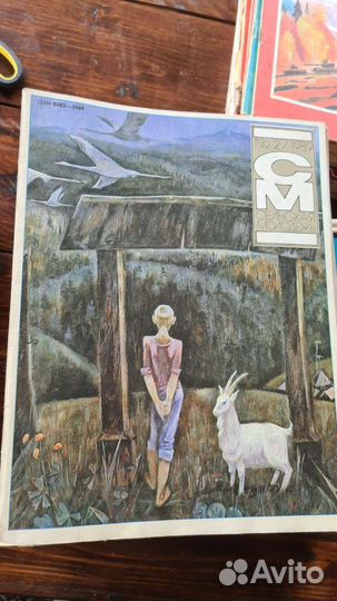 Журналы Сельская молодежь