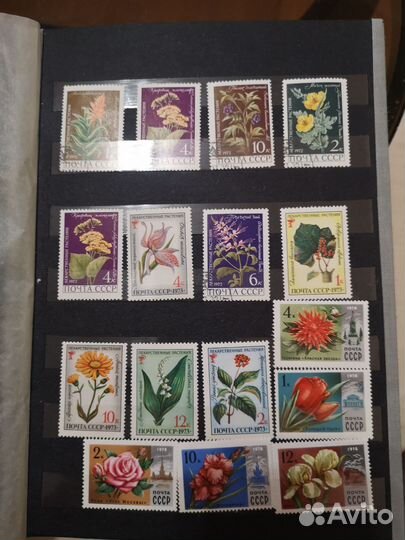 Почтовые марки СССР