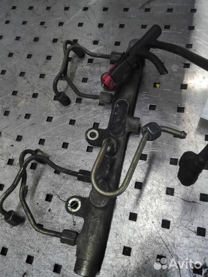 Рейка топливная (рампа) Peugeot 406