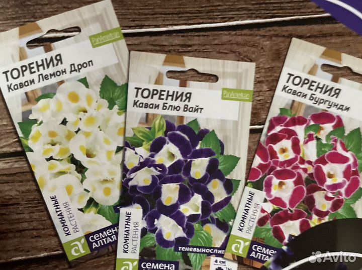 Виола ампельная Торения