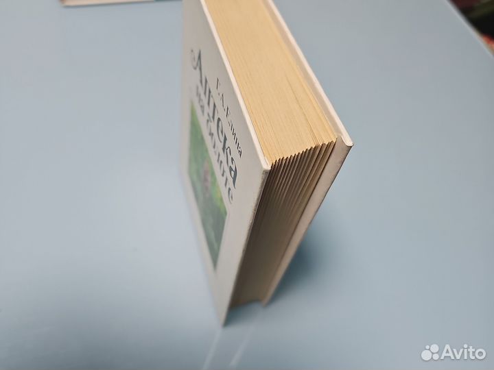 Аптека на болоте Г. А. Елина