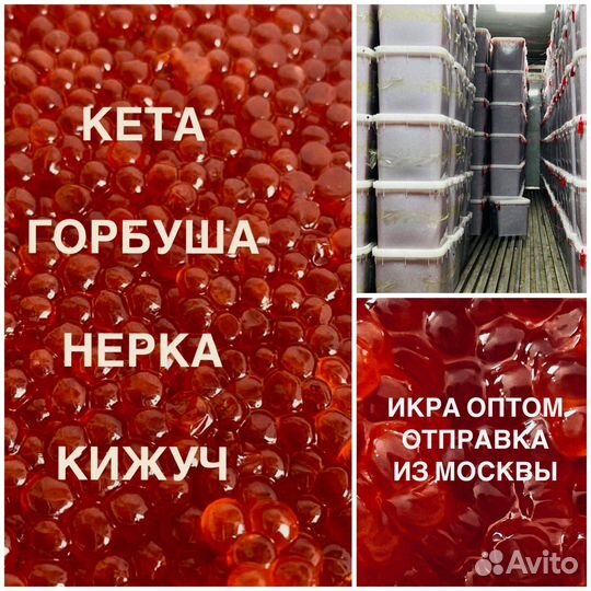 Красная икра свежая. Опт. Отгрузка из Москвы