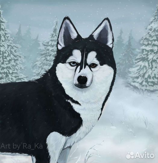 Портрет питомца на заказ