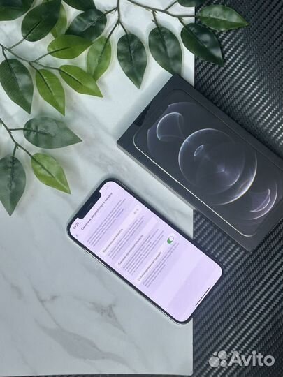 iPhone 12 Pro Max, 256 ГБ