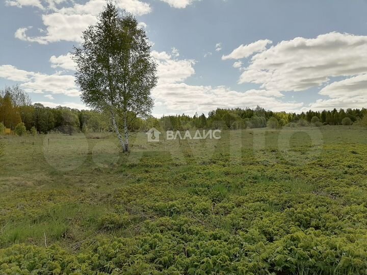 Участок 54,7 сот. (ИЖС)