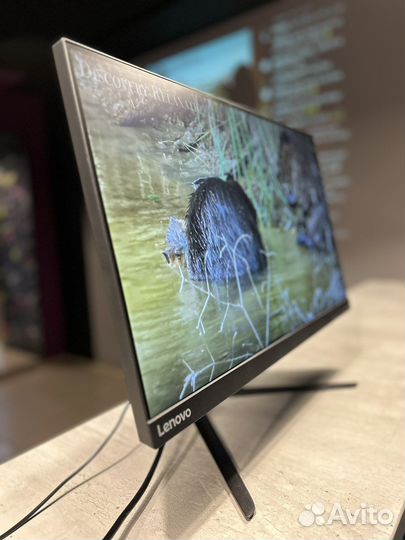 Монитор lenovo 24 ips