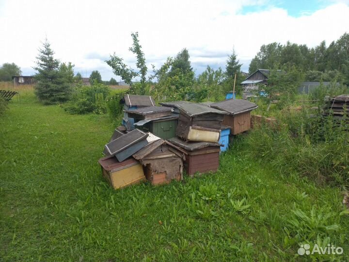 Продам ульи для пчел