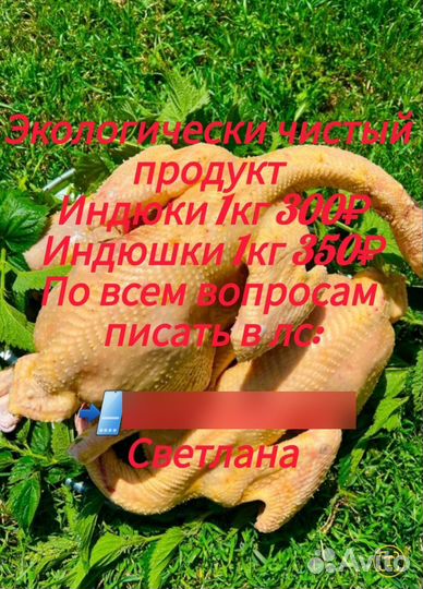 Индюки и Индюшки