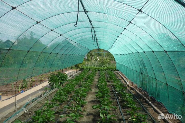 Сетка-теневка