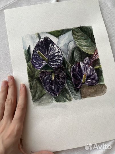 Картина ботаническая иллюстрация акварель