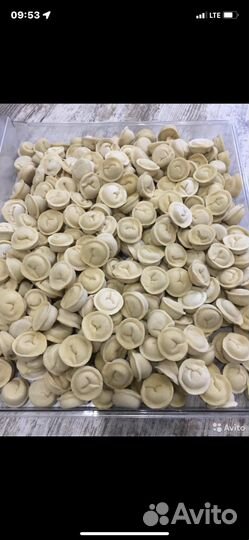 П /ф домашние