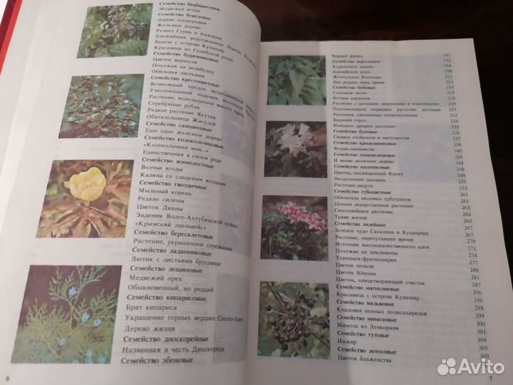 Редкие и исчезающие растения Книга1 Артамонов 1989